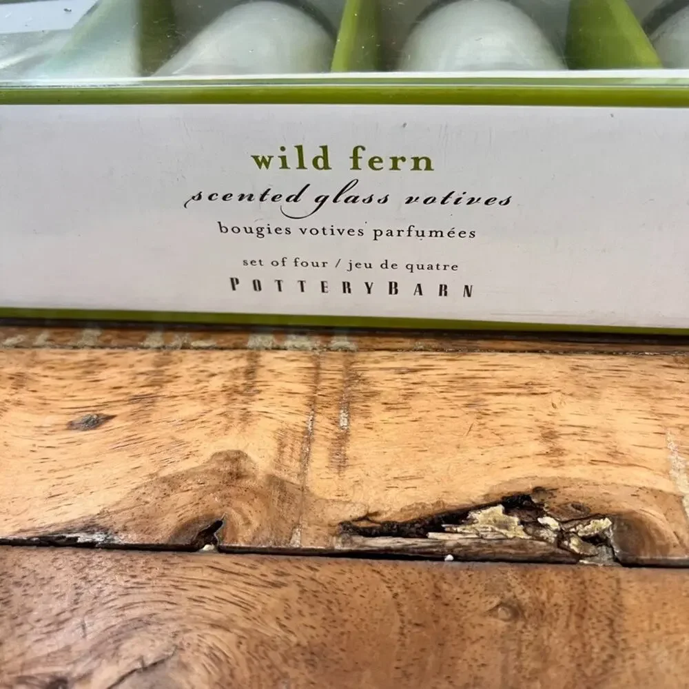 Vintage Pottery Barn Wild Fern Scented Glass Votive Candle Set of 4